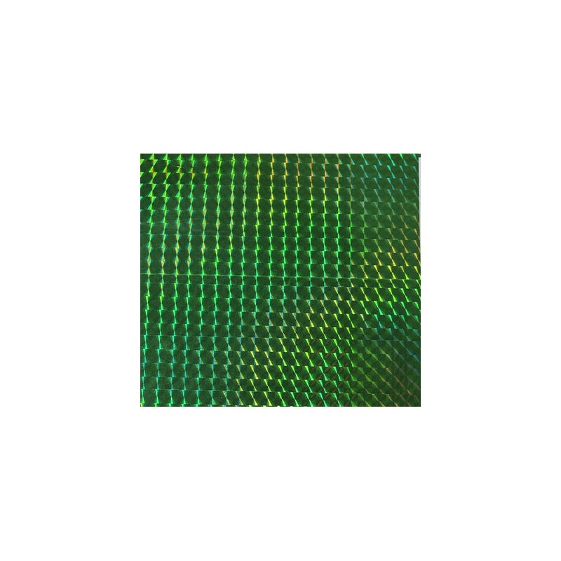 CARTULINA HOLOGRAFICA VERDE ECG 50X65 230 GR