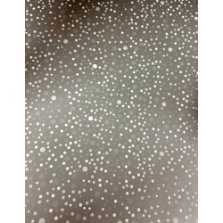 CARTULINA BOUTIQUE PLATA PUNTOS ECG 44X61 220 GRS