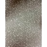 CARTULINA BOUTIQUE PLATA PUNTOS ECG 44X61 220 GRS
