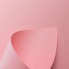 CARTULINA POP SET SWEET ROSE MATE ECG 50X65 170G